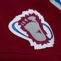 Colorado Avalanche Patrick Roy Mitchell & Ness White 1995 Power Play Jersey
