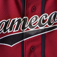 South Carolina Gamecocks Under Armour Performance Replica Baseball Jersey - Garnet