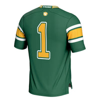 #1 William & Mary Tribe GameDay Greats Football Jersey - Green