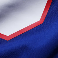 New York Giants David Tyree Nike Royal Retired Player Alternate Game Jersey