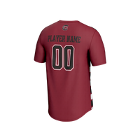 South Carolina Gamecocks GameDay Greats Collegiate Soccer NIL Pick-A-Player Fashion Jersey - Garnet/Navy