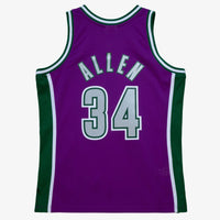 Milwaukee Bucks Mitchell & Ness Swingman Jersey Ray Allen 2001-02