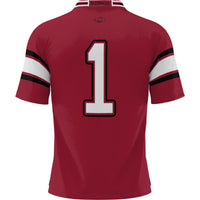 #1 Arkansas Razorbacks GameDay Greats Football Jersey - Cardinal